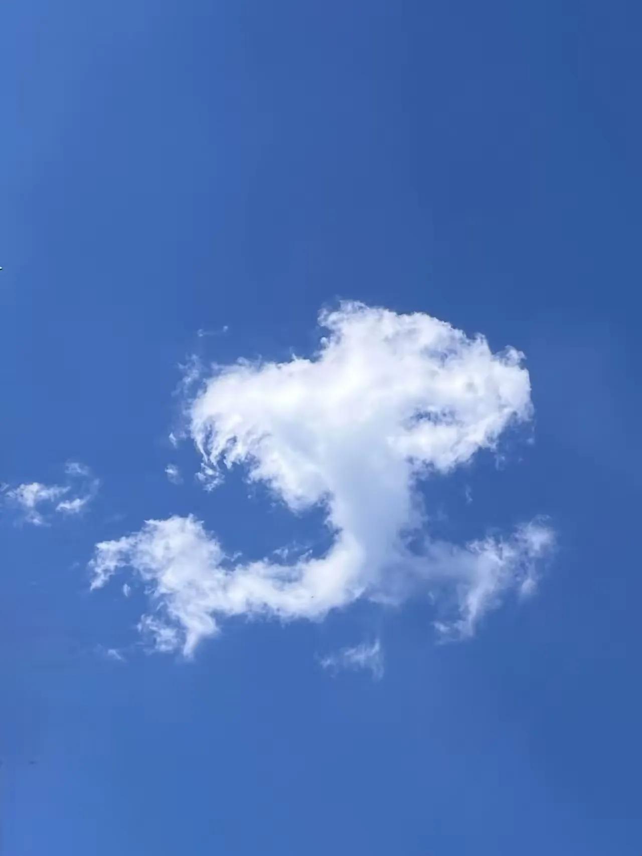 白云在天空中悠然自得，如诗如画，宛如一幅天然的画卷。看了让人陶醉。