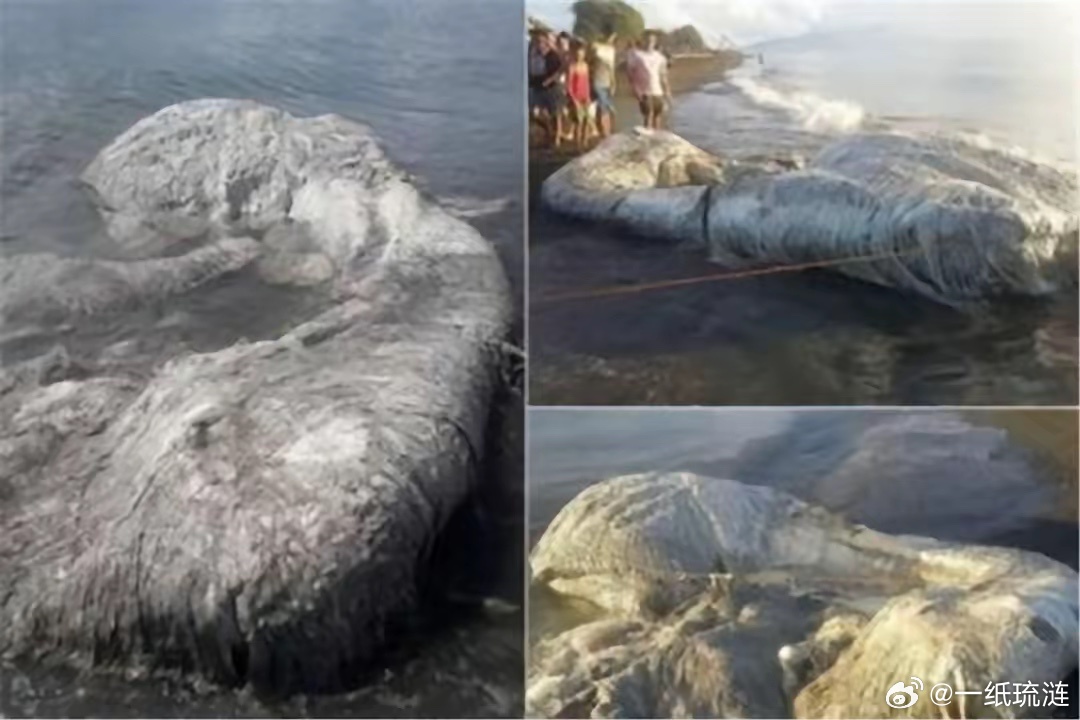 一出好戏​​​​据说，日本的海水产品被准许进入中国市场。这次被批准首批有六吨。还