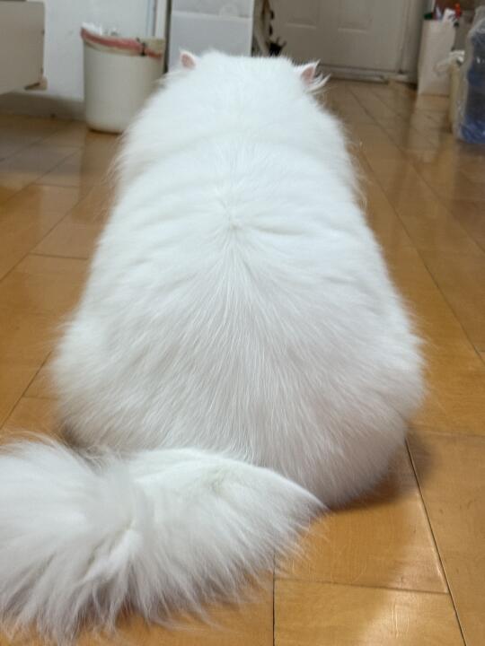 很有安全感的背影哈哈哈