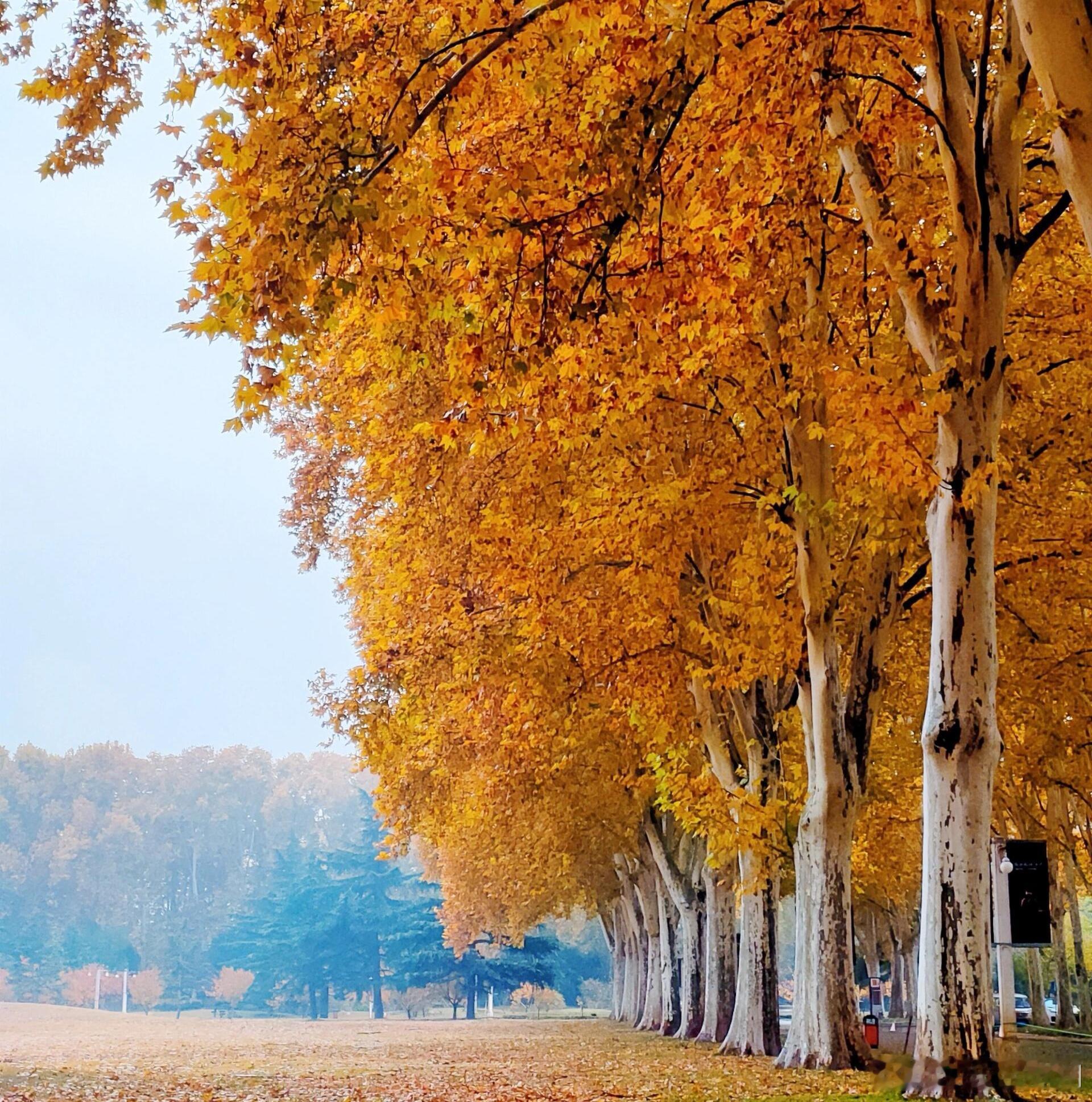 看淡人生，大自在；大悟无私，大升华……      