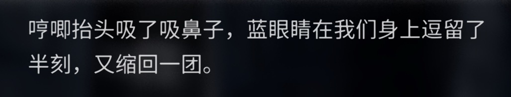 怎么没人注意到哼唧是一条蓝色眼睛的🦮喂它泡面应该会喜欢，它可能有大胃袋，九桶应