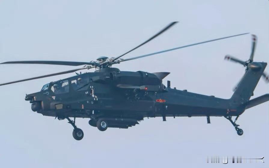 再次露面的武直21
再次被拍摄到试飞中的武直21，其机体细节清晰可见，后半部分就