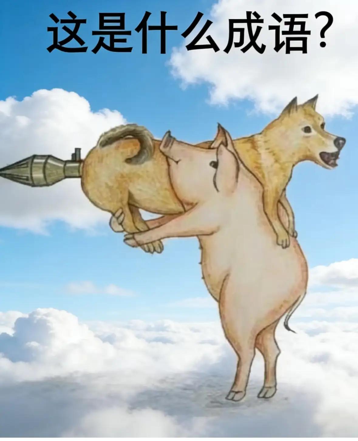 笑死我了！大肥猪扛着二细狗，狗屁股那插着不是大炮就是火箭，让猜一个成语。这我可真