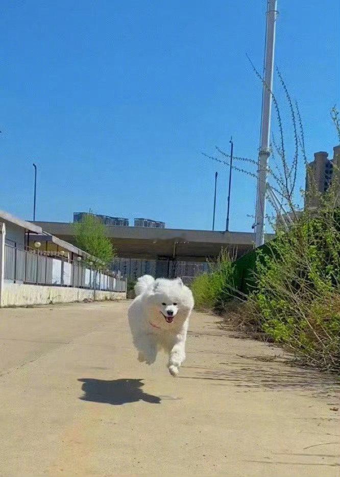 你期待的好消息，正在向你跑来，下月生效！ 