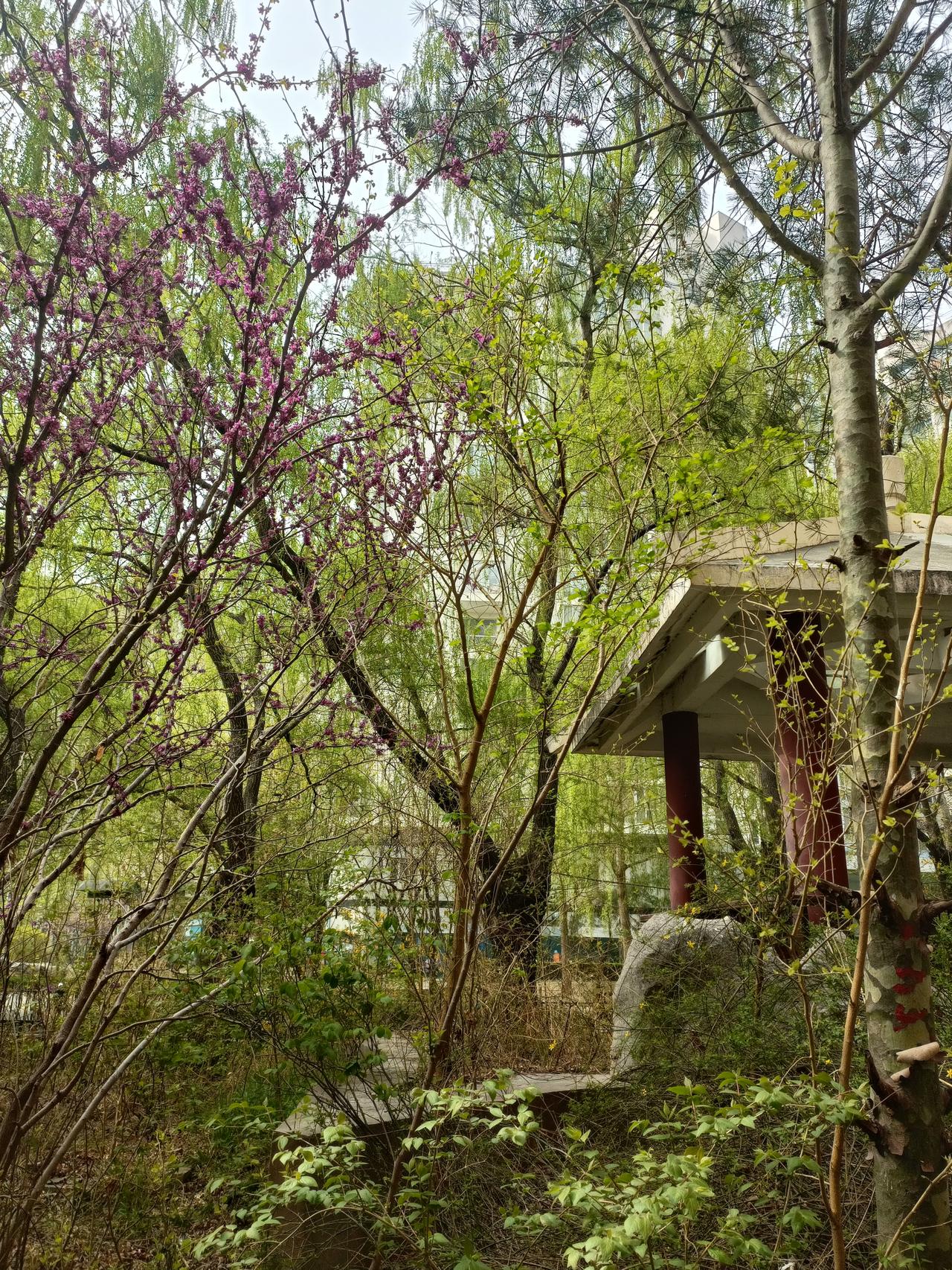 晒图笔记大赛环境的好坏对人的心情很重要