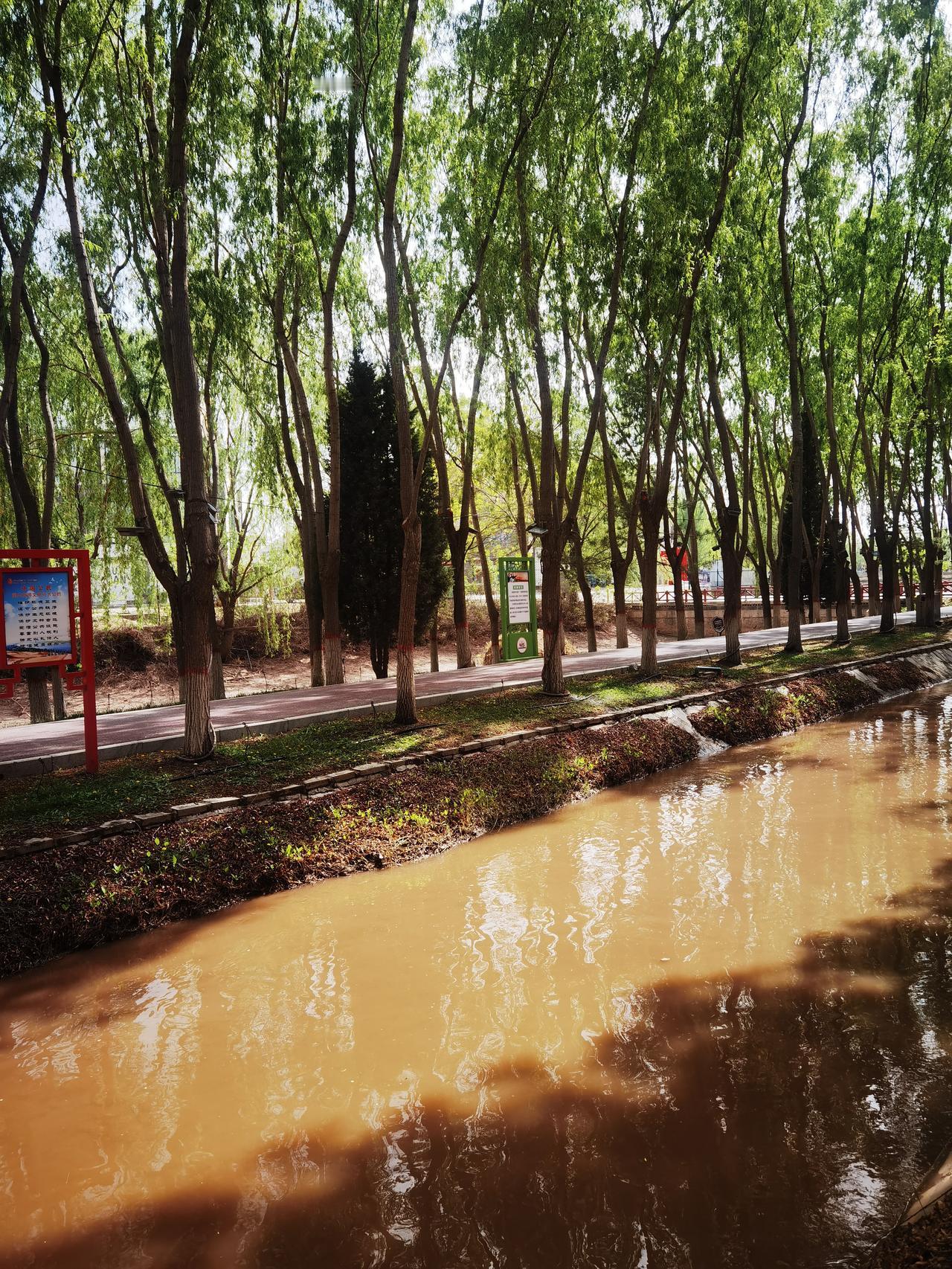 路边一条渠
渠水养植物
树木显生机
水之有功劳