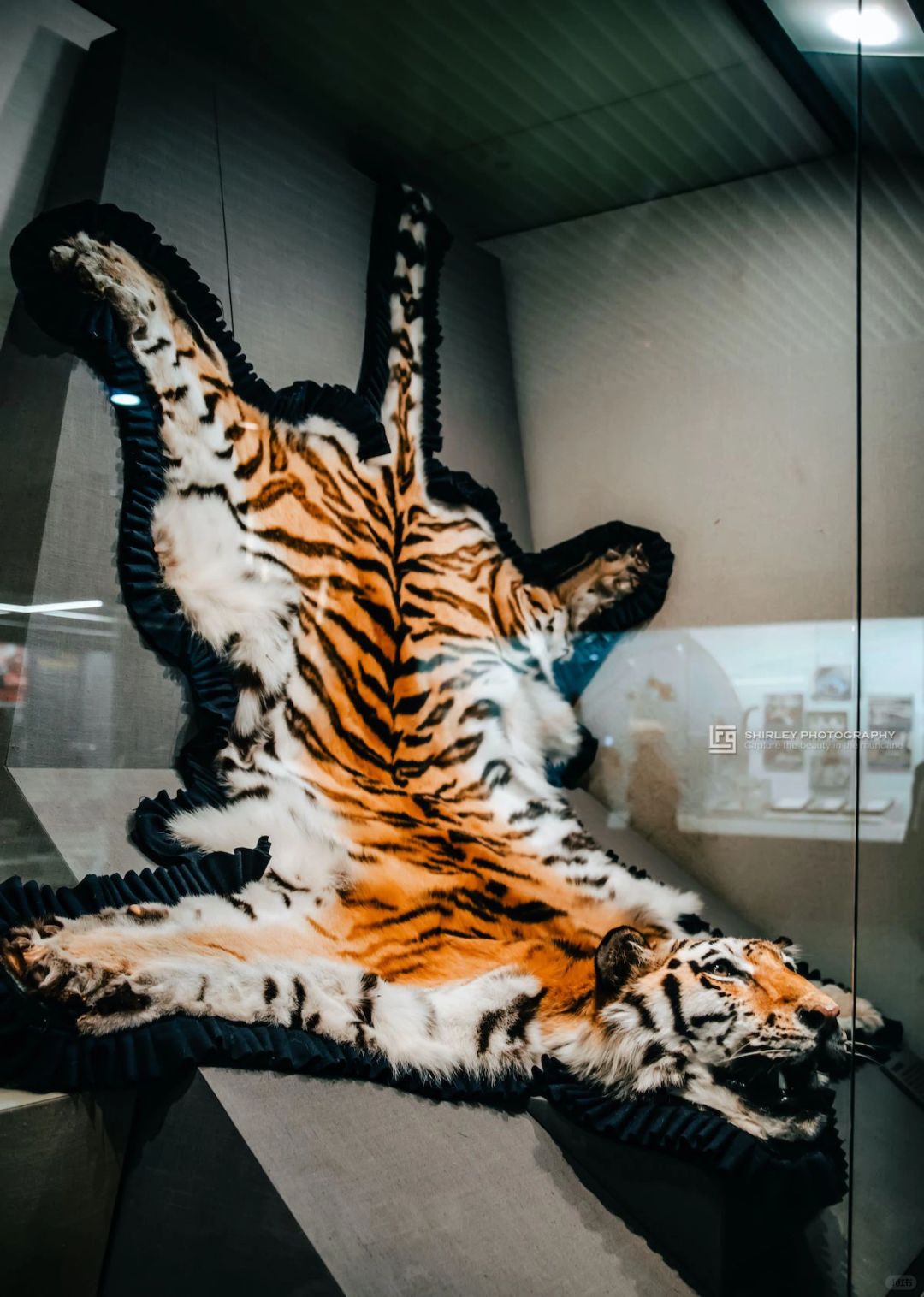 北京冷门博物馆，放眼全国都是炸裂的存在