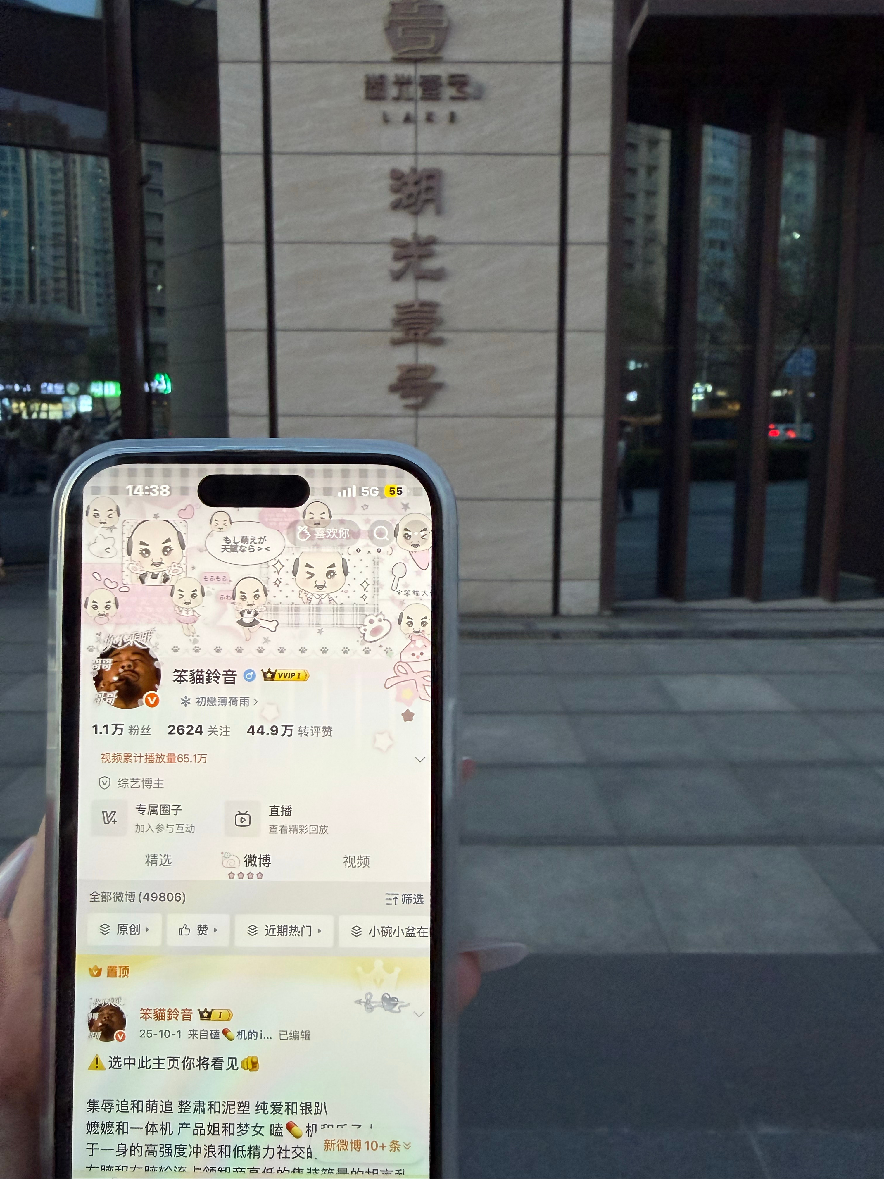 笨猫铃音湖光壹号占位 