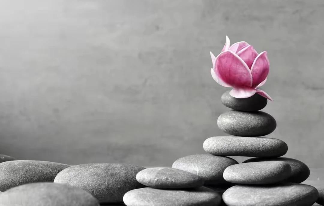 我不想输，可是想赢又得拼命努力，实在有够烦的。——太宰治《正义与微笑》#我只能是