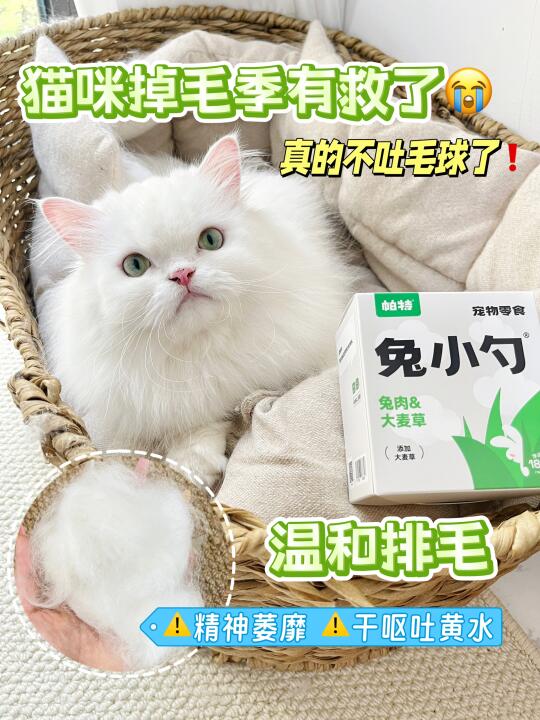 新手铲屎官必看！如何对付猫咪毛球？
