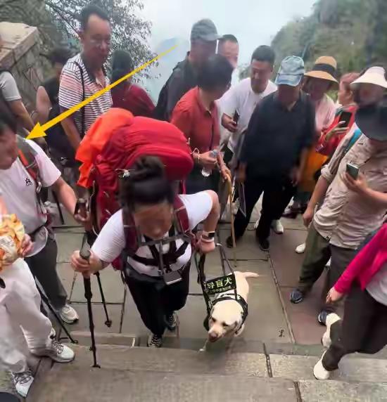 近日，一段盲人夫妻带导盲犬爬泰山的视频在网络上引发无数网友关注与热议。视频中的导