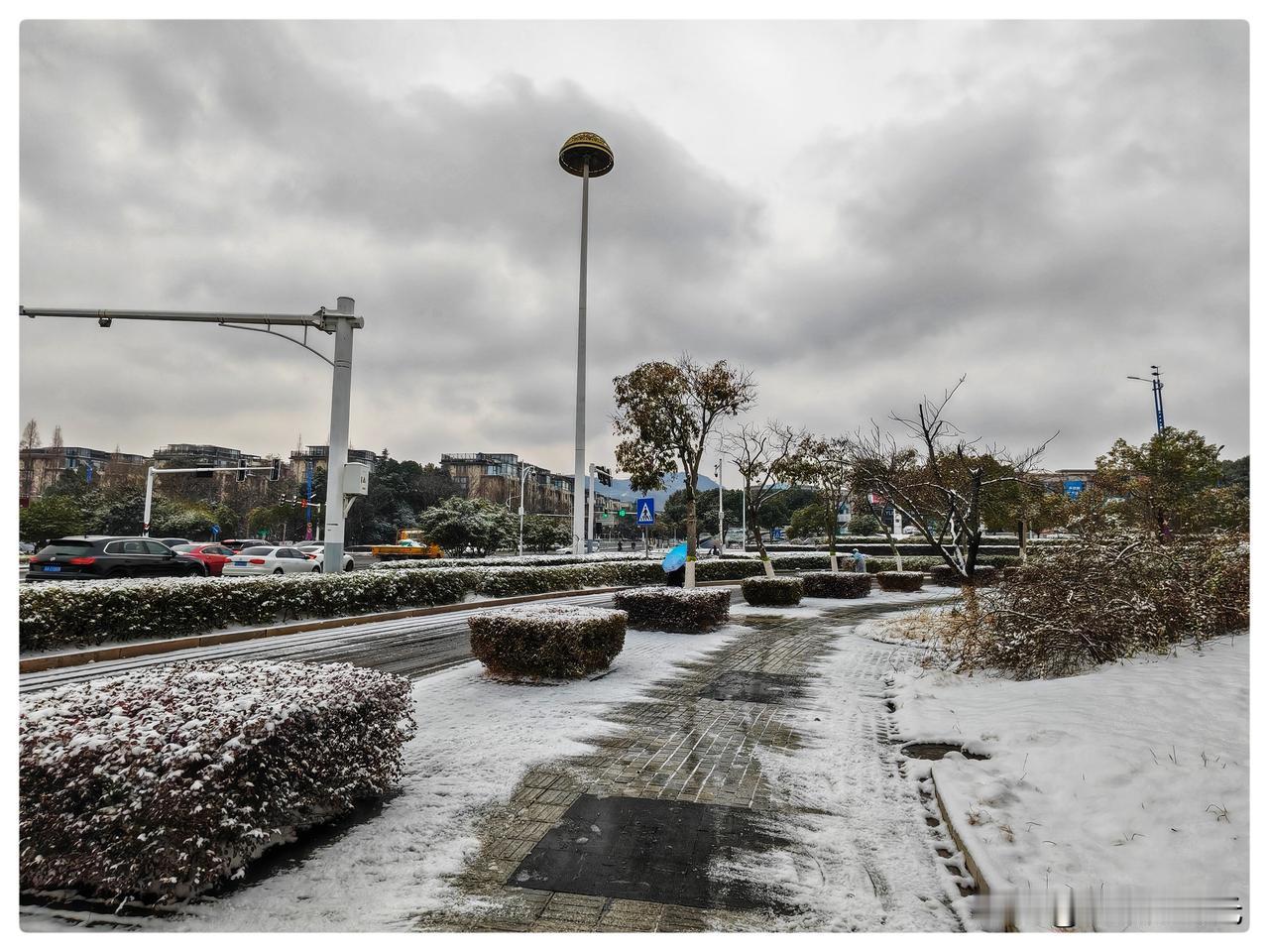 昨夜，一场雪如约如至，路灯的光晕在薄纱里温柔地化开，一团团，毛茸茸的，像是陈旧的