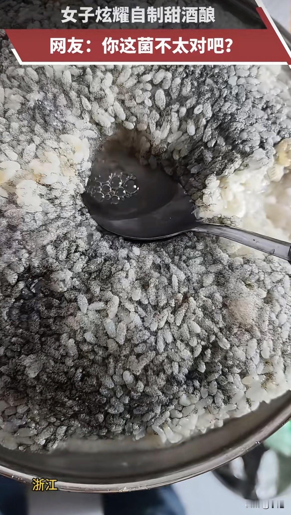 谁能想到，别人做酒酿是雪白甜润，这位浙江大姐直接端出一碗"芝麻糊"。

米粒不是