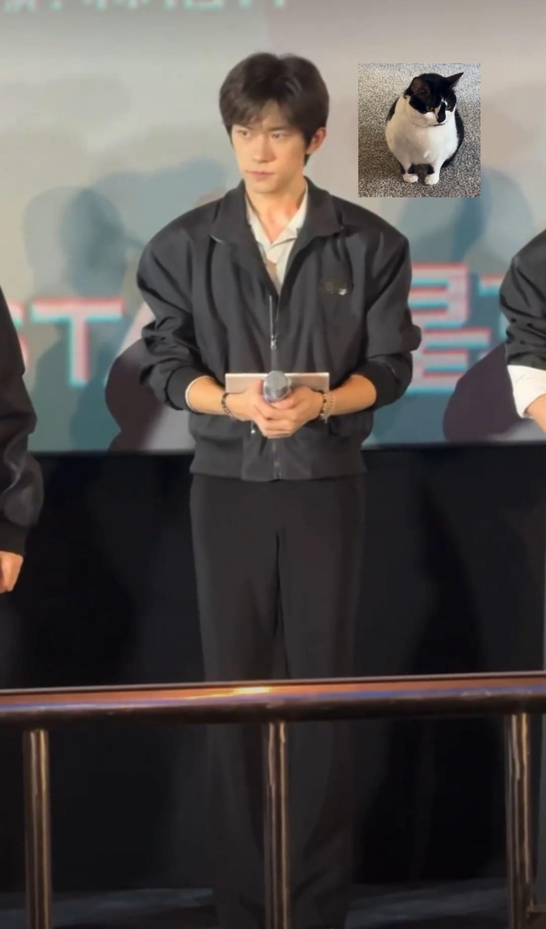 做了一个live图，听声音！小咪打嗝！🐱原图源-易个猫 