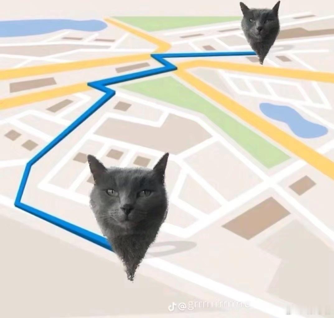 猫积累 