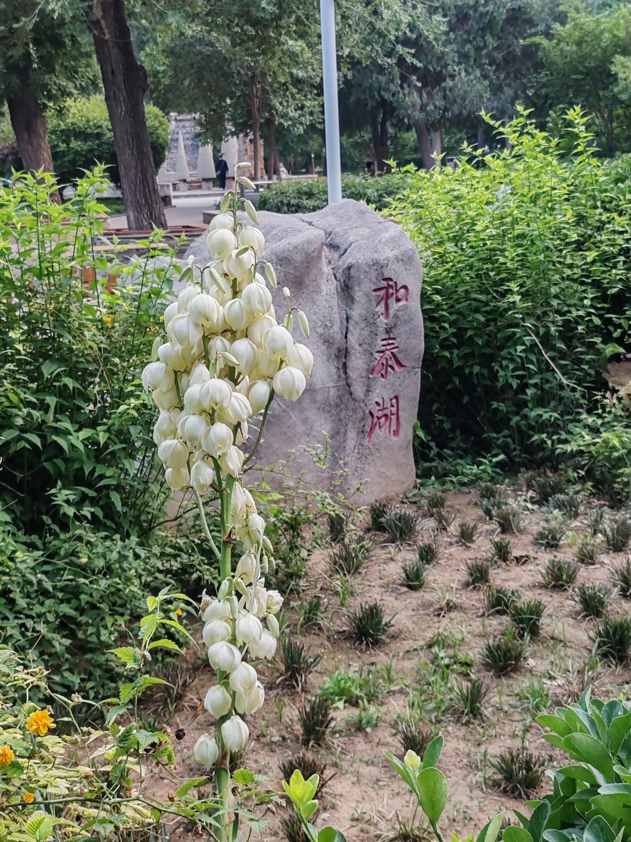 不过，做决定时还得考虑一些实际因素。要是原公司是个小圈子，大家联系紧密，即便交情