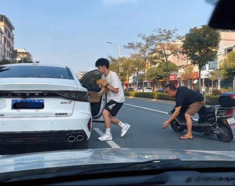 猫的花语：手慢无这群小伙怎么欺负老年人 ​​​
