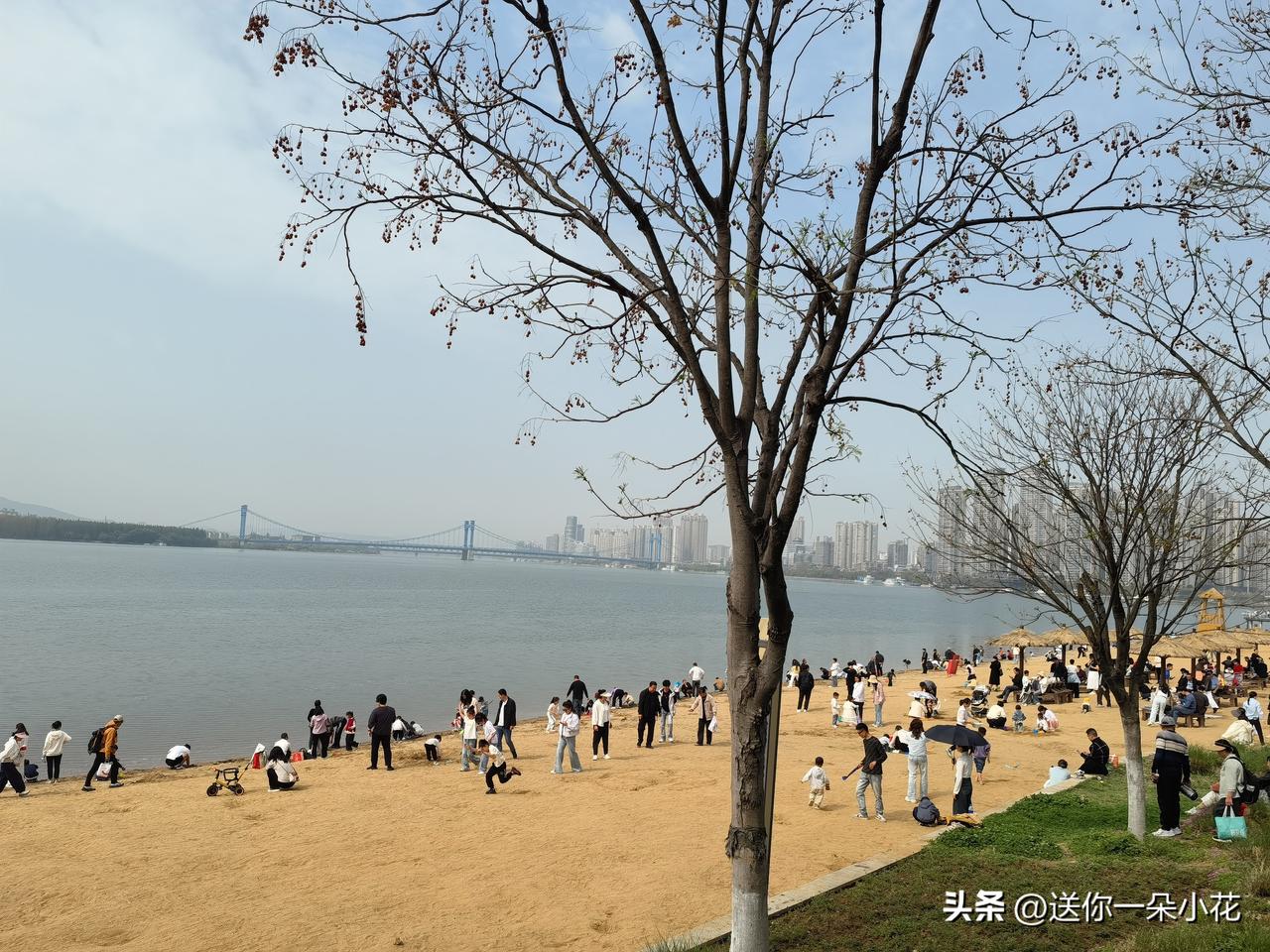 清明假期和家人去了一趟鱼梁洲，在停车场停车发现十辆车有六辆都是河南车牌，南阳挣钱