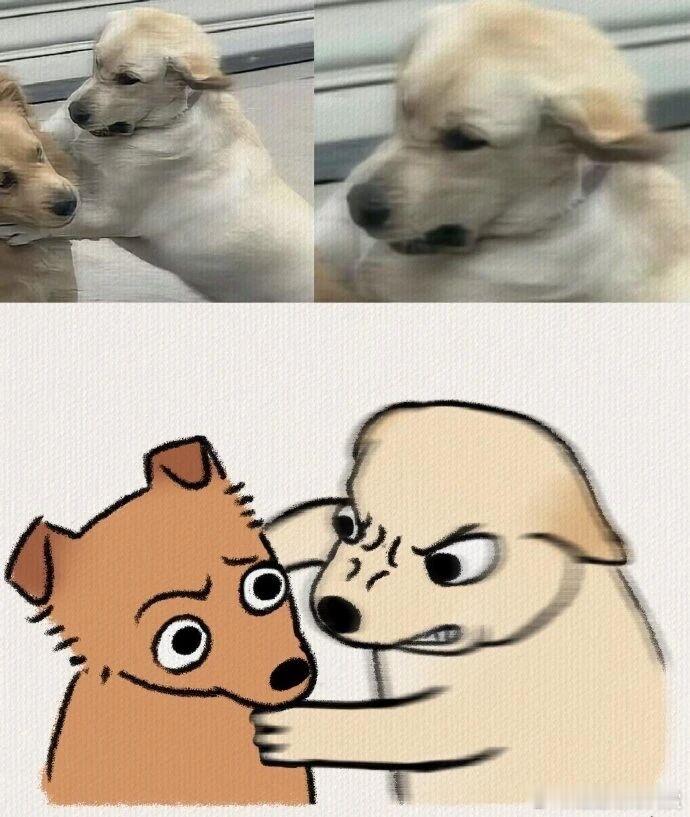 气 宠物卖萌中心 ​​​