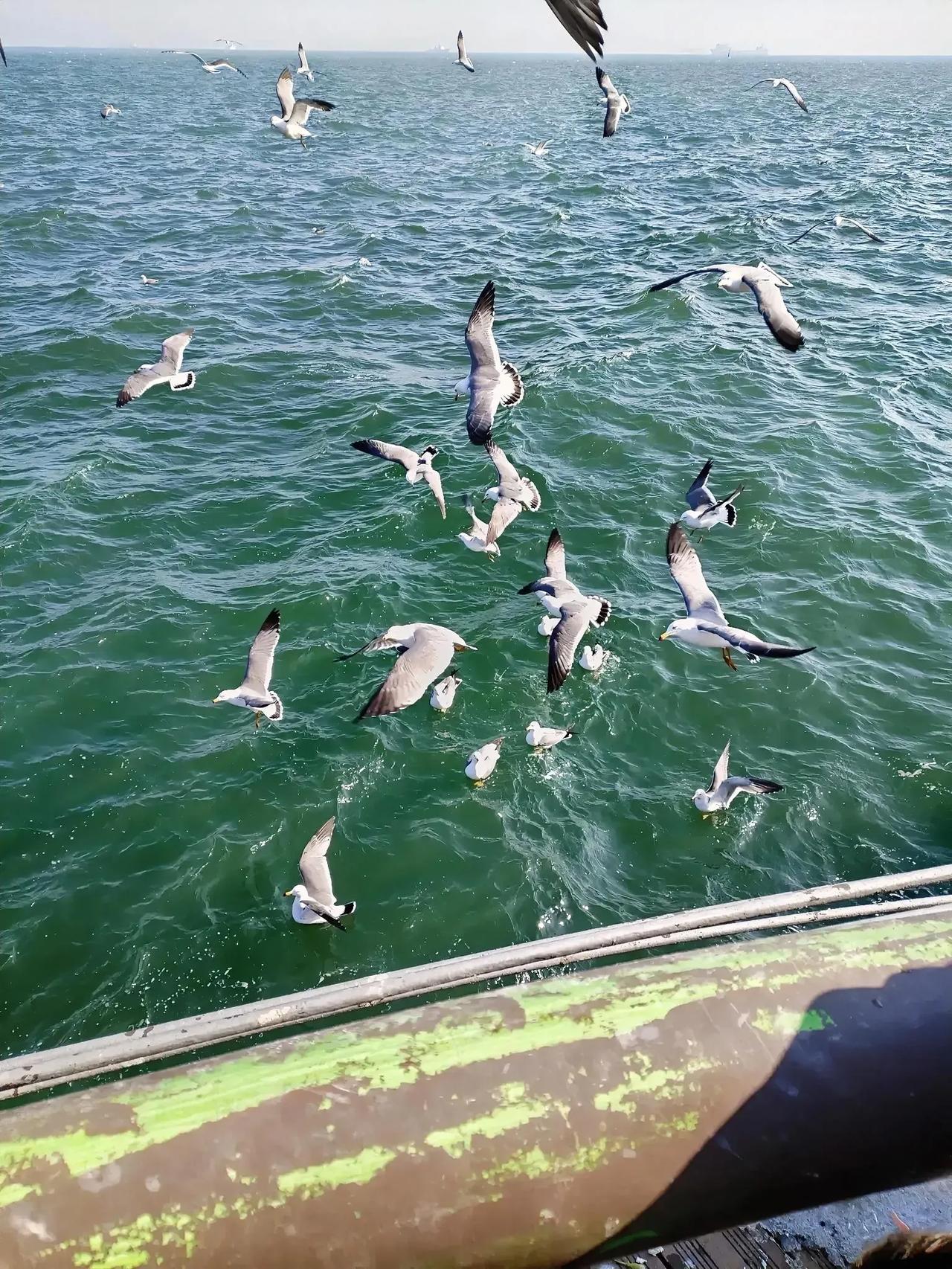 我的隔壁是老王，
战战兢兢心里慌。
度日如年该咋办？
……谁能貂续狗尾露一手[笑