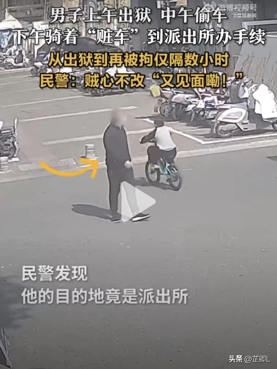 年度最离谱！男子上午刚出狱，下午偷电动车骑去派出所办出狱手续，当天直接被抓！网友