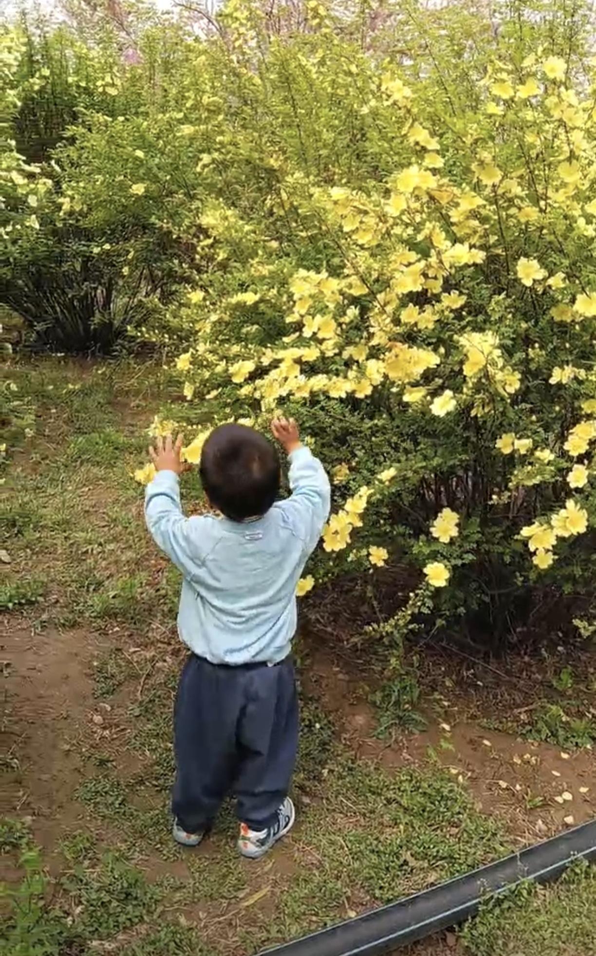 两岁多的小孩子心眼也挺多，闺女婆婆回老家半个月，闺女让她爸去看半个月孩子，开始还