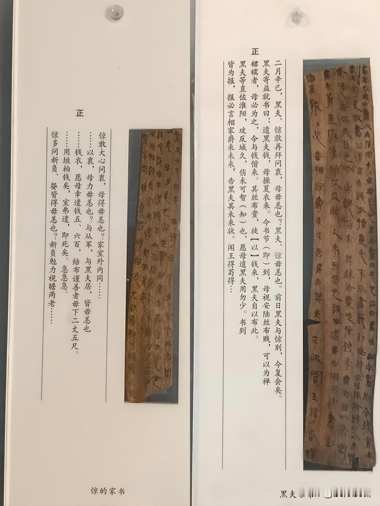 千年家书为要钱，赶紧寄去莫迟缓

一、古典版要钱

云梦博物馆里，藏着世上最早的