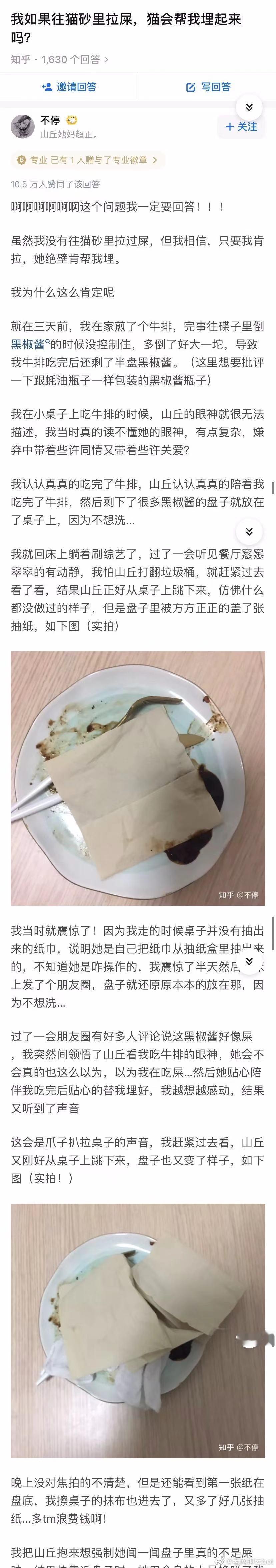 如果我在猫砂里拉屎，猫会帮我埋了吗 ​​​