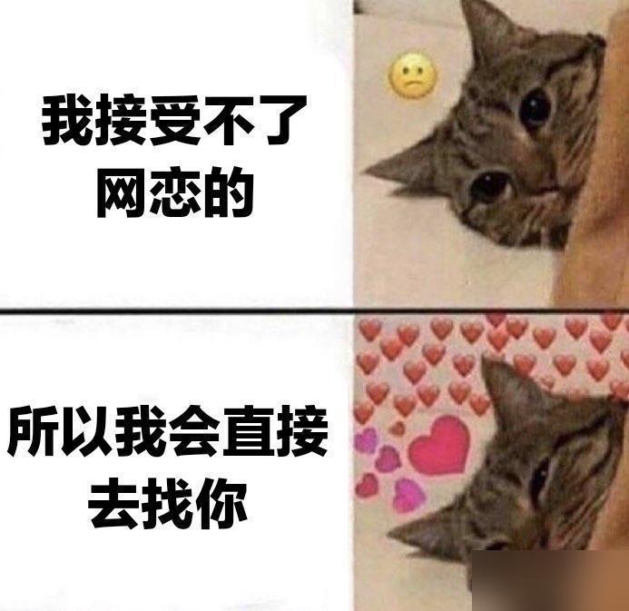 *所以我会直接去找你*

🥰

#小猫meme# #异地恋# #网恋# #情侣