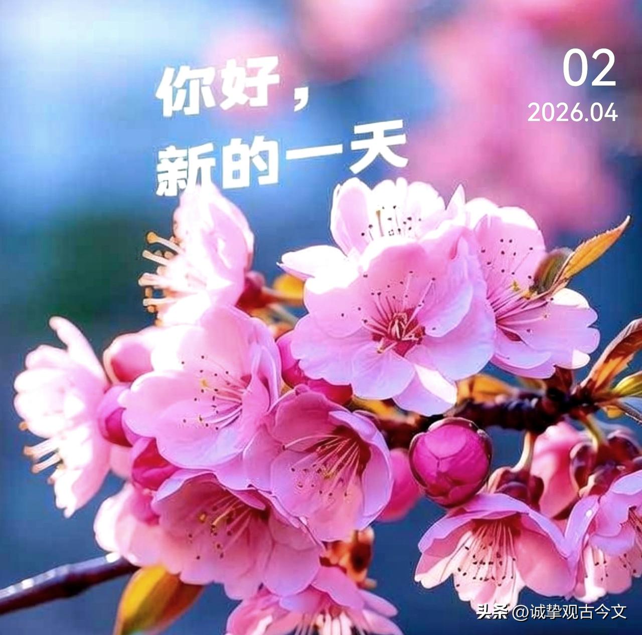 又是一年花朝时，春光正好，繁花满枝。愿我们在这温柔的时节，心怀暖意，静待花开，岁