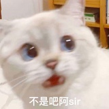 芒秀爱看科技