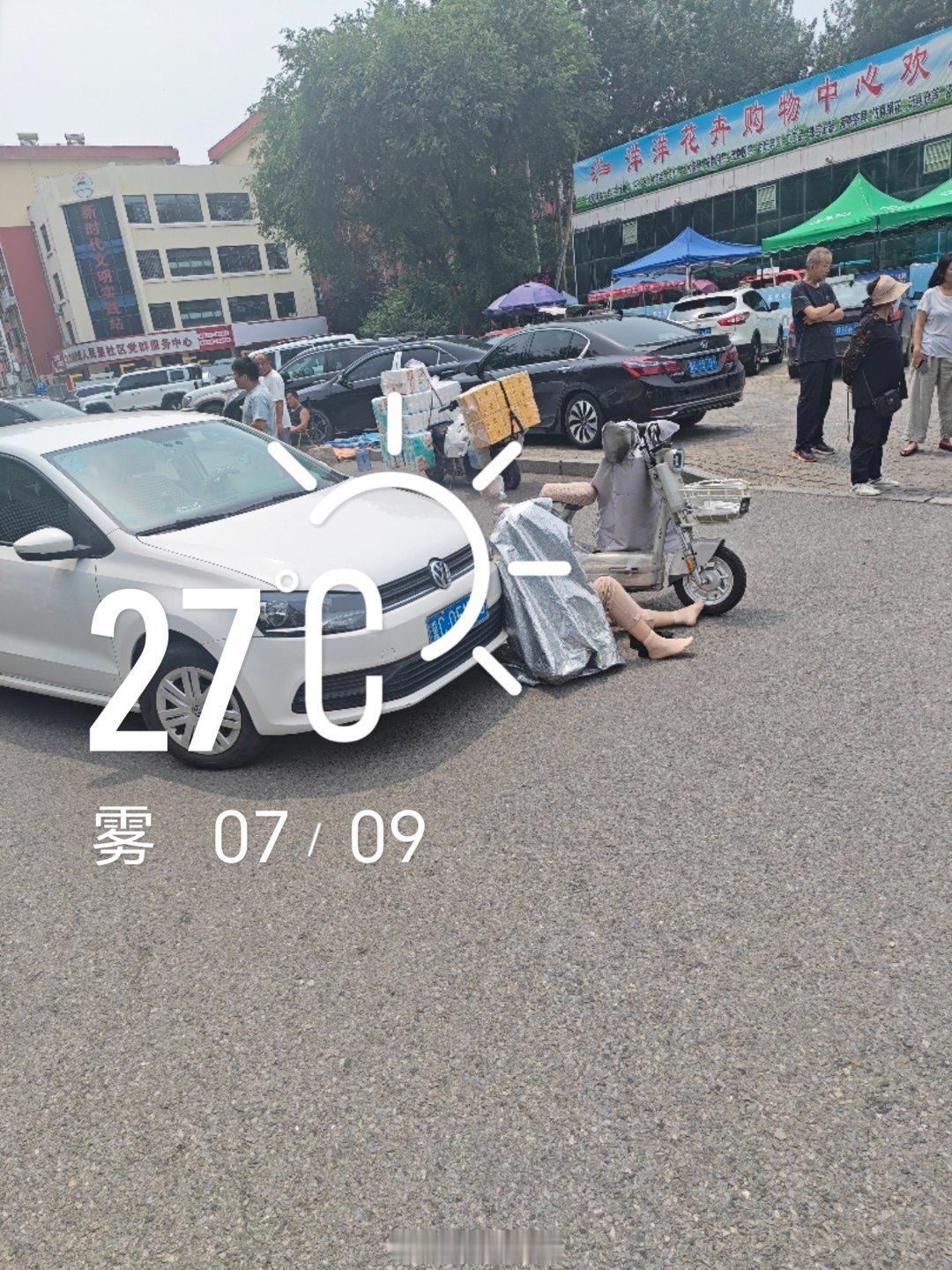 秦皇岛道路千万条安全第一条 秦皇岛·老洋洋花卉