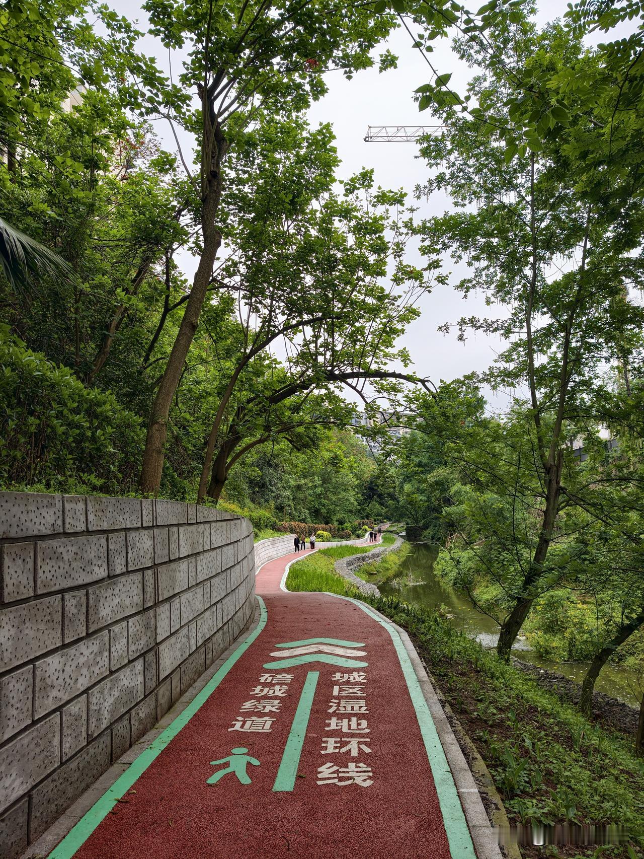 马鞍溪湿地公园，换新颜了。
从重庆自然博物馆对面步道进入公园，沿龙滩子水库走，见