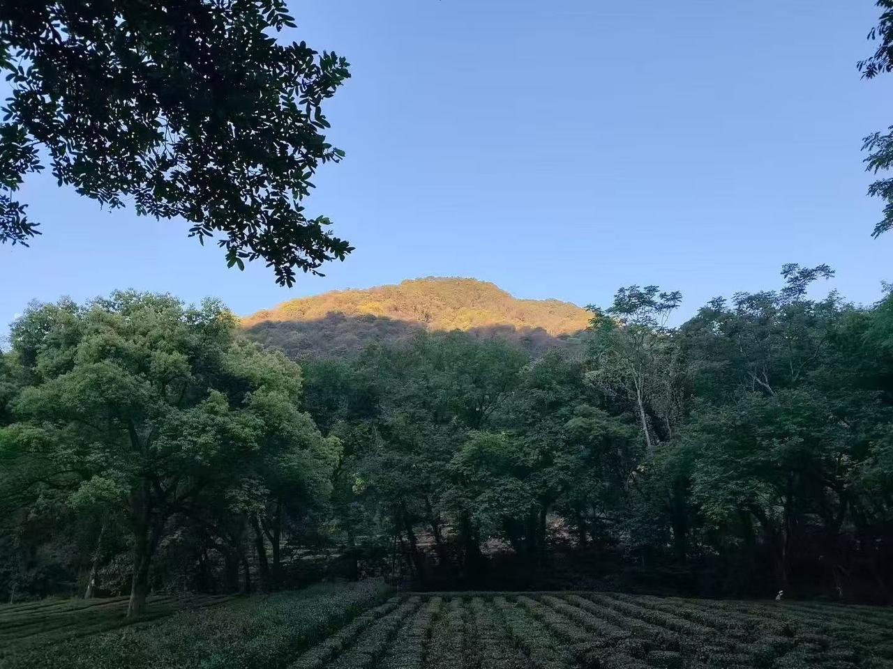 很喜欢一句话：“如果别人说你一句就难受很久，那别人杀你根本不用刀。”
 
人到四