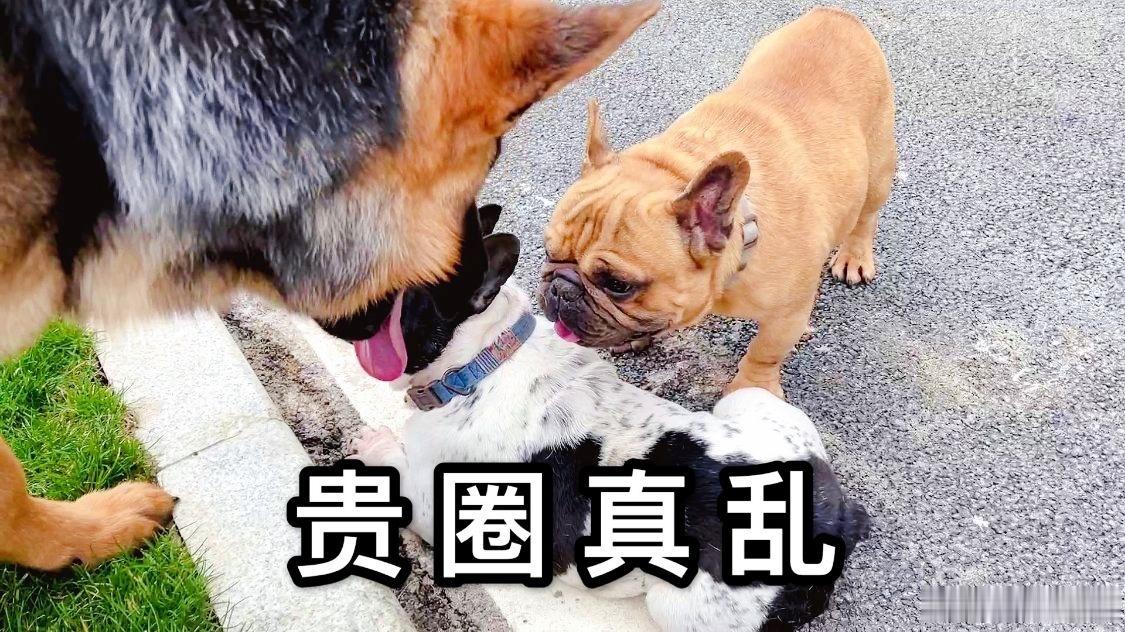 打开🧣又关上了，贵圈真乱