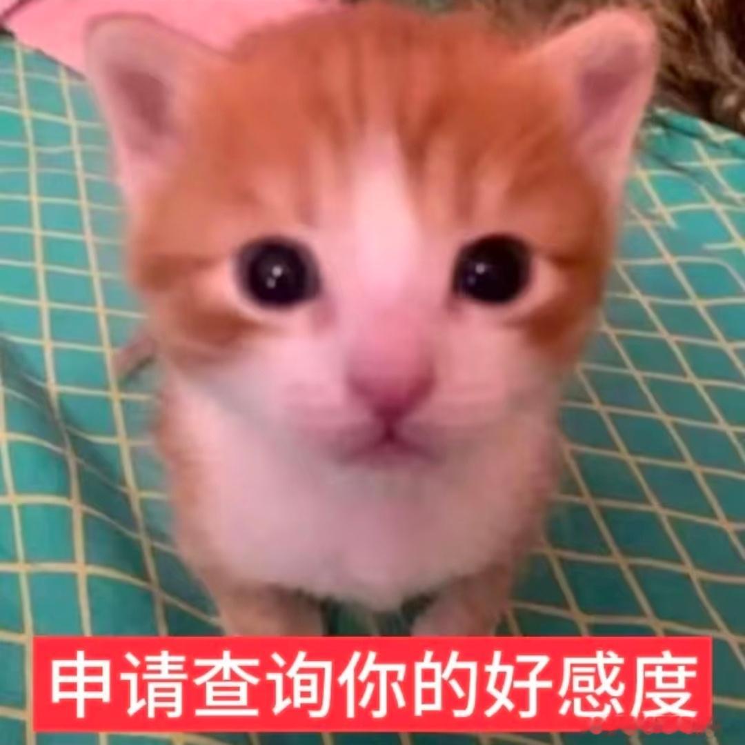 申请查看 