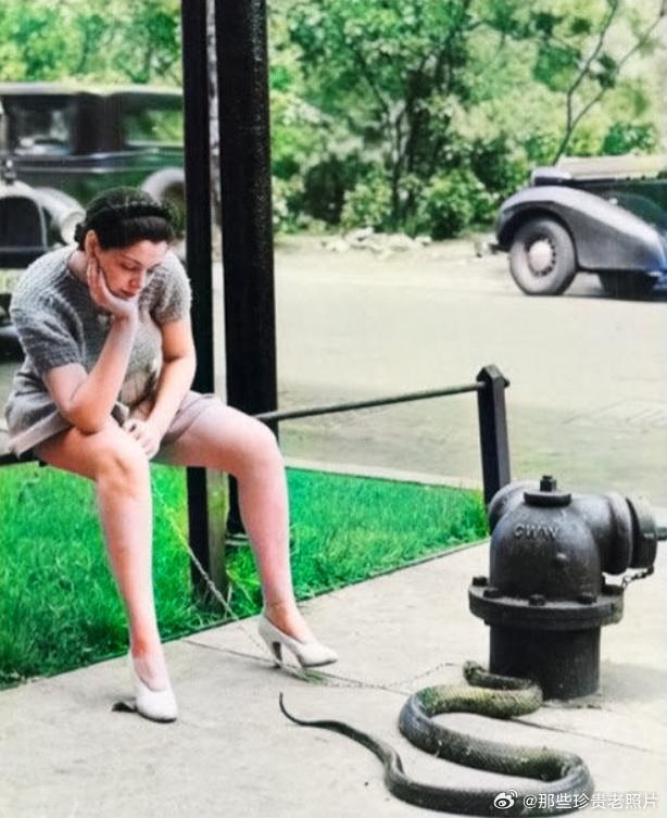 1930年，美国洛杉矶的街头，美女和她的宠物蛇 