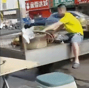 女神跑路就这么开走： 