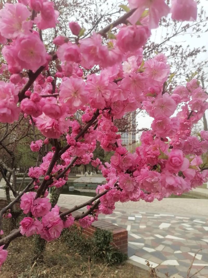 下联：迎来春色满乾坤。

（图片来自网络）