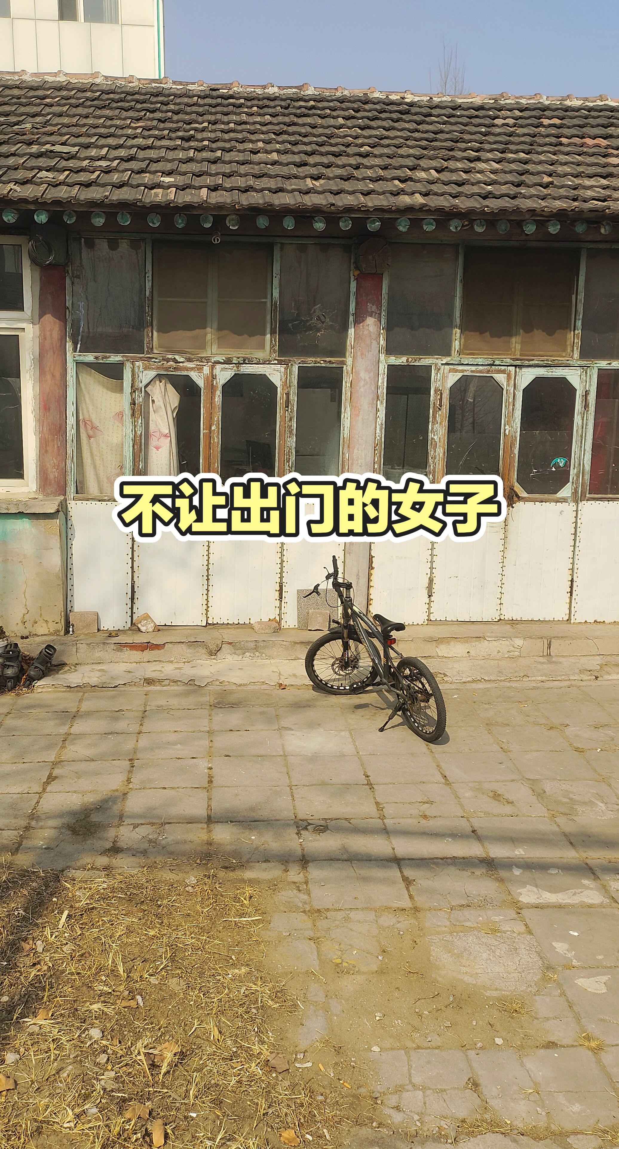 每日更新