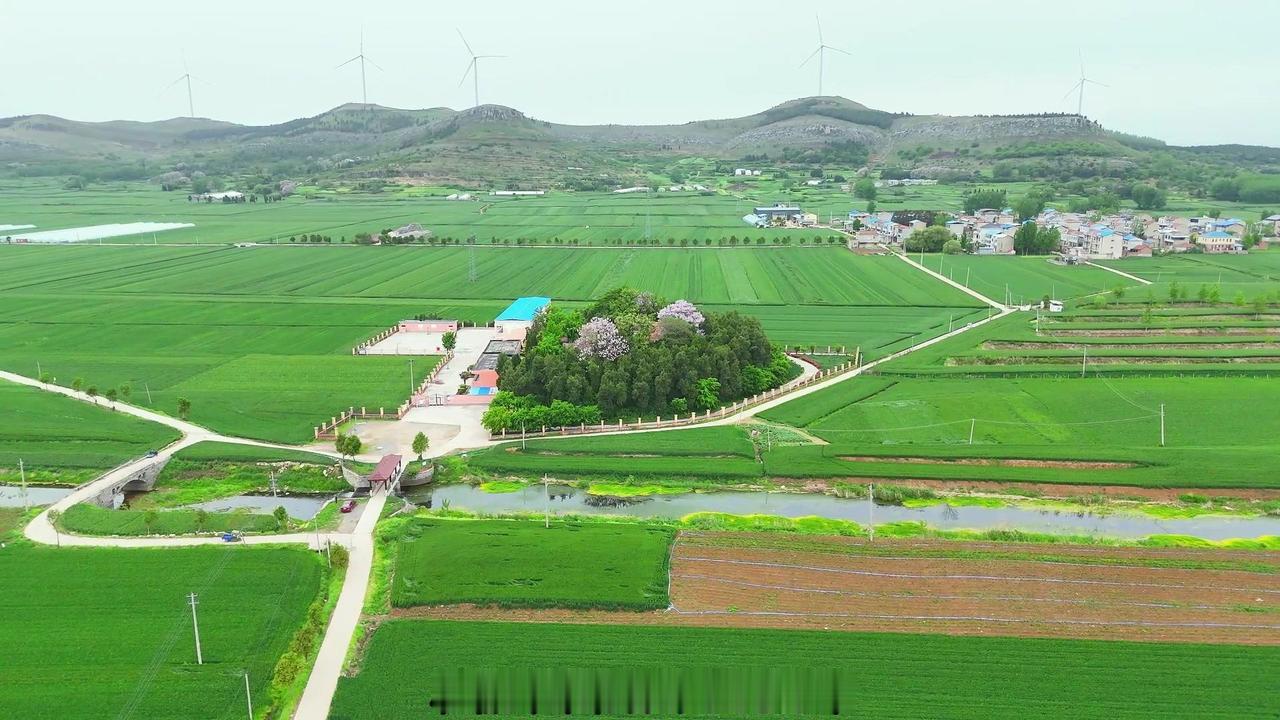 🗿在宿州解集镇南拖尾河畔，藏着一座覆斗形土台，它就是春秋时期的吴鲁会盟台。25