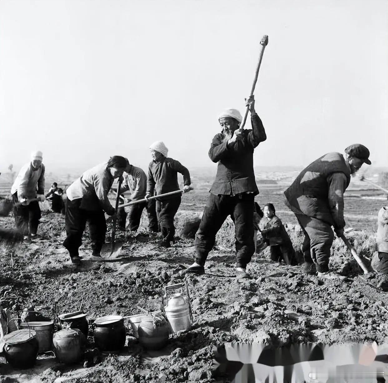 为什么过去吃不上饭？计划经济是极少数人动脑子，市场经济是人人动脑子。世界上有2种