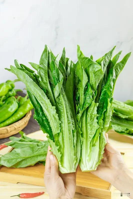 8月下旬还能种啥秋菜，新手别乱播种
 
不少刚种菜的朋友问，过了8月20号，地里