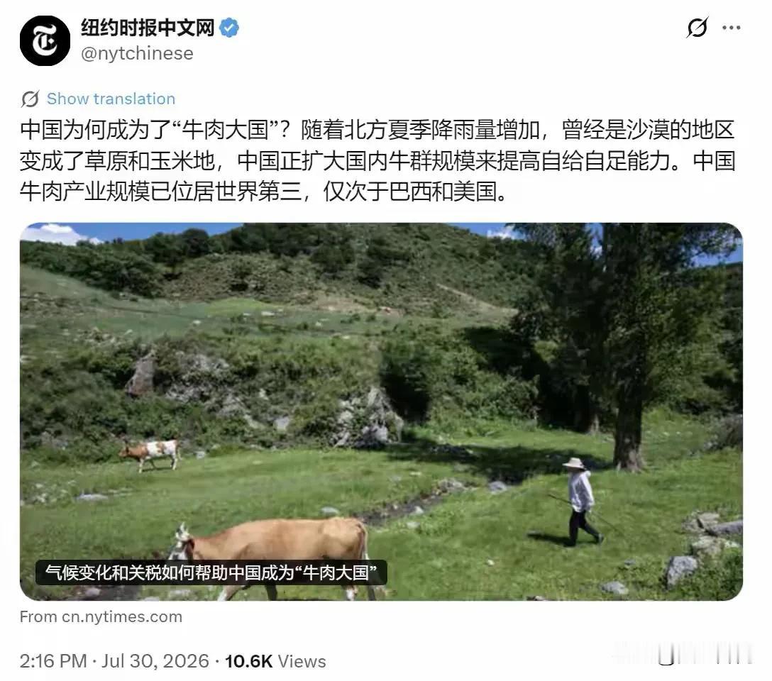 淡化人为治理功劳！纽约时报中文网7月30日刊发报道，探讨中国快速崛起的牛肉产业。