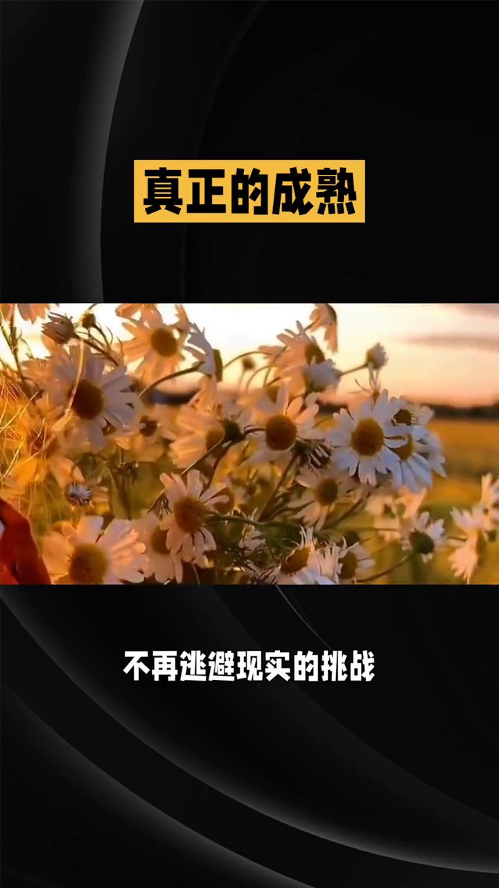 真正的成熟。
你是否也曾在深夜辗转反侧，纠结于过去的错误和遗憾。其实真正的成熟不