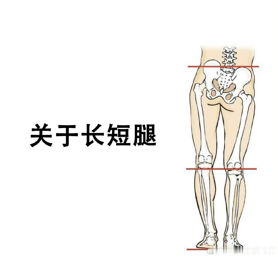 长短腿 最近评论区和直播里，好几位朋友都问到了长短腿，这个问题，要先区分是结构性