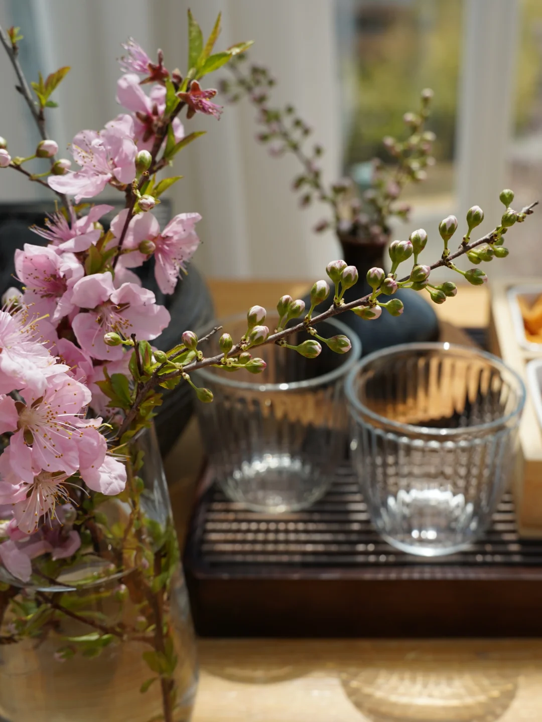 钝感力+屏蔽力=人生无敌