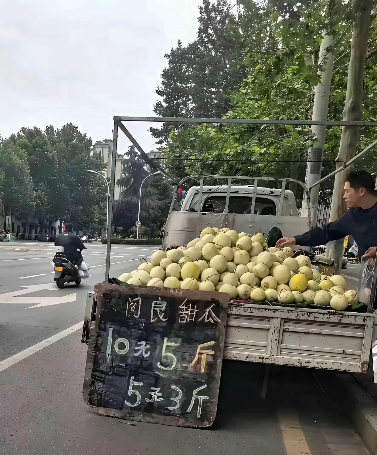 这老板厉害啊