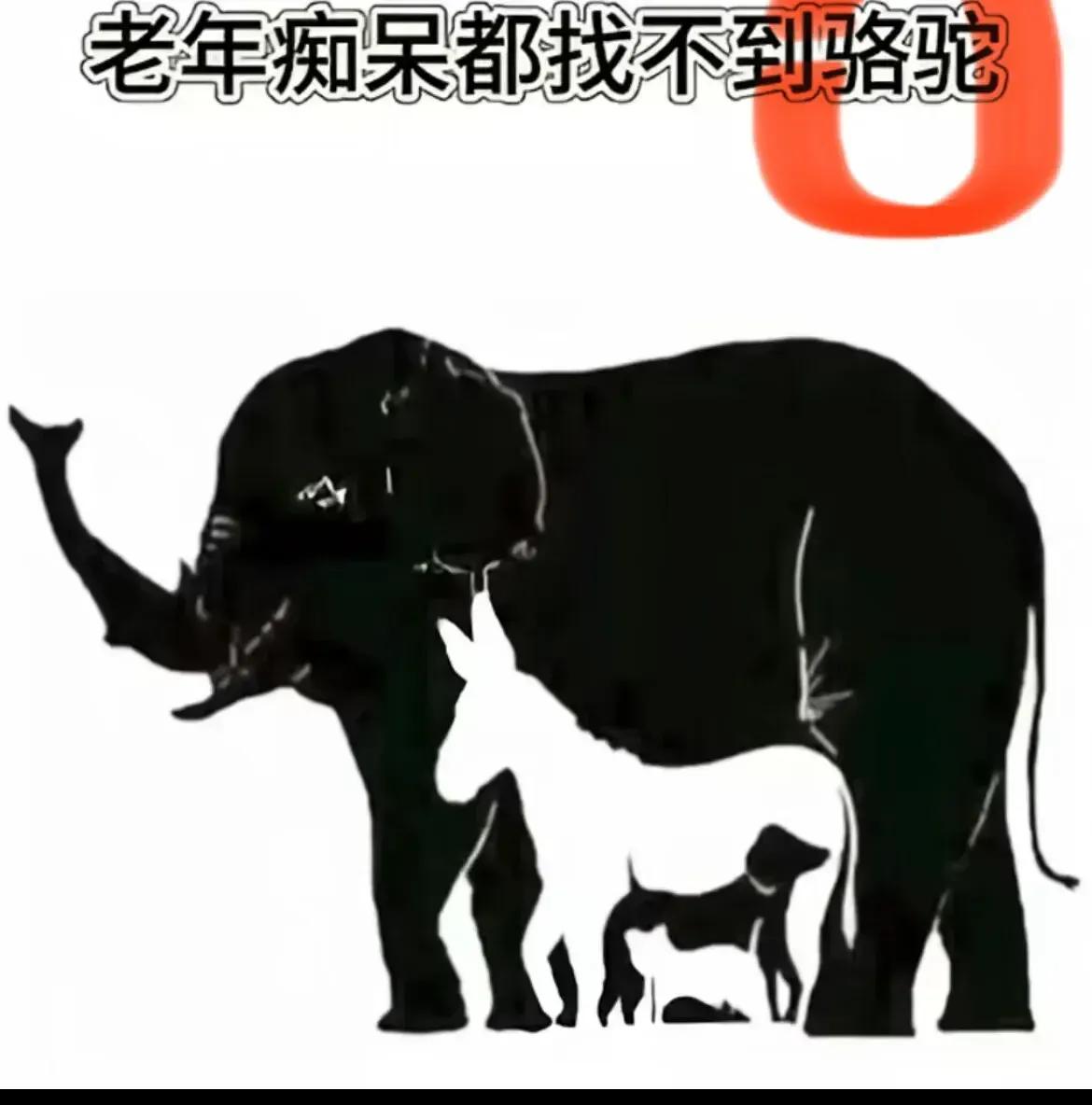 在哪里呢[捂脸]