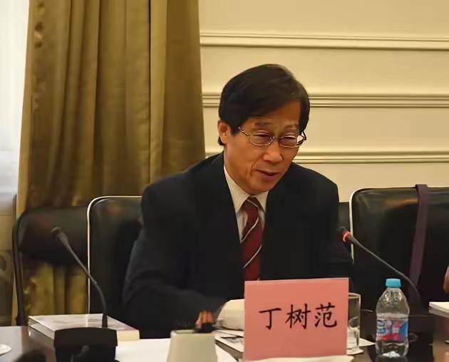 台湾大学教授丁树范表示，如果大陆坚持强制推行一国两制，国民党可能会选择拒绝接受这